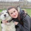 Попутчик Марла К 36 лет