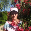 Попутчик Алёна П 52 лет