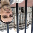 Попутчик Максим Б 47 лет