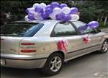 Fiat Brava